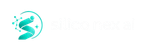 silicohealthai.com